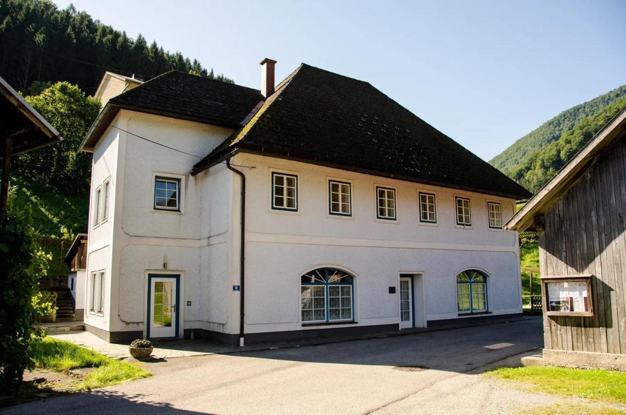 Wohnung Im Nationalpark Kalkalpen 1 Reichraming Екстер'єр фото
